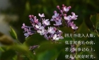 4月的正確打開方式，從一臺金相切割機開始