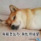 夏天都結束了，你為什么還沒買金相拋光布？