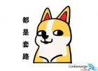 不用羨慕我，其實好用的金相砂紙就在你身邊！