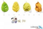 我們正在向冬天降落，金相拋光布給你溫暖！